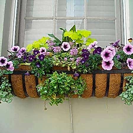 Decoración de terrazas con jardineras de plantas en Madrid.