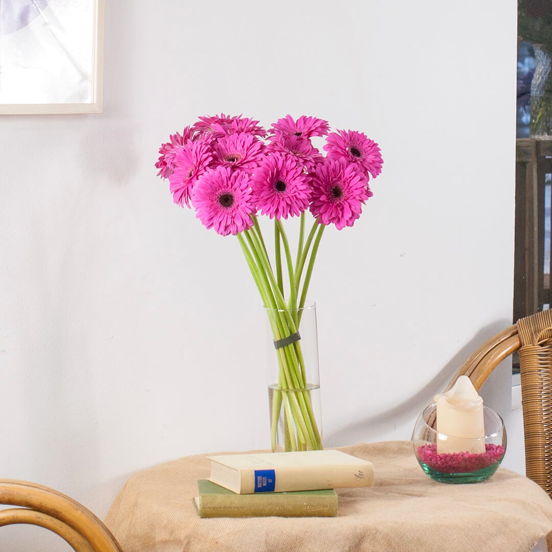 Gerberas de color fucsia a domicilio en Madrid.