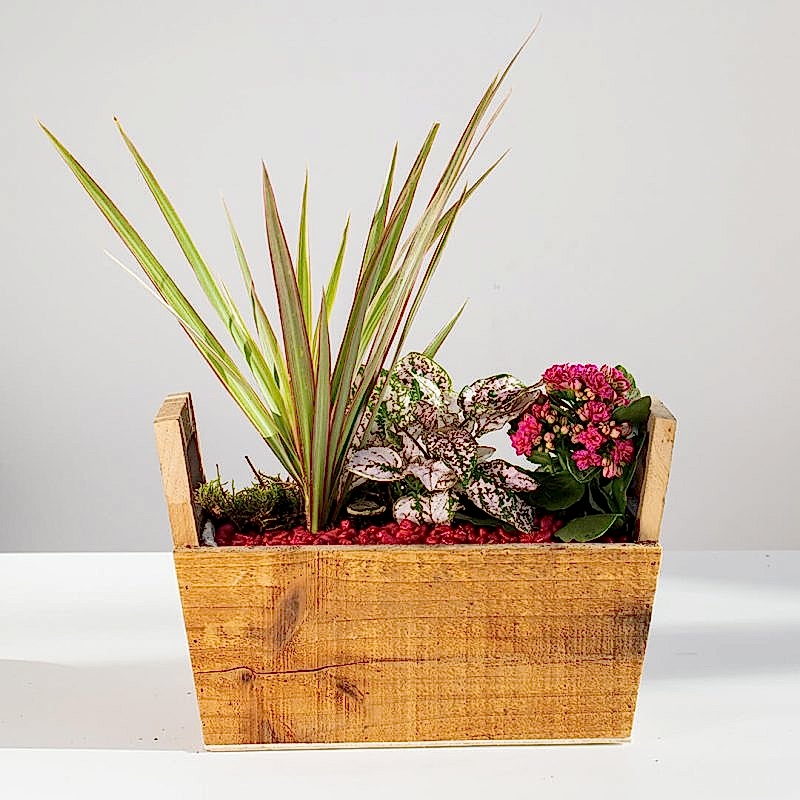 Caja de plantas decorativa a domicilio en Madrid